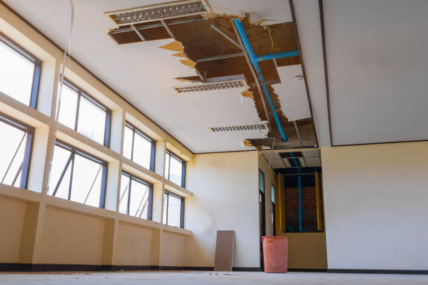 Best Mold removal after water damage  in Walker Mill, MD