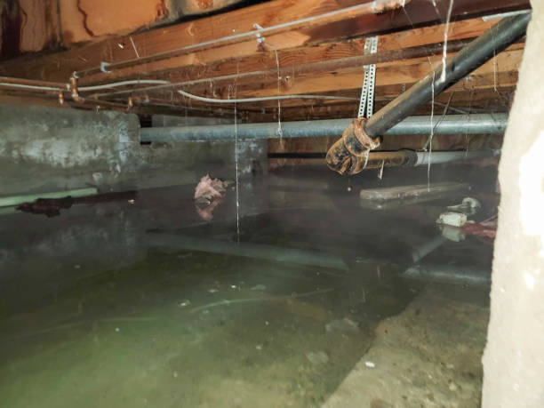 Best Sewage cleanup and water damage restoration  in Walker Mill, MD