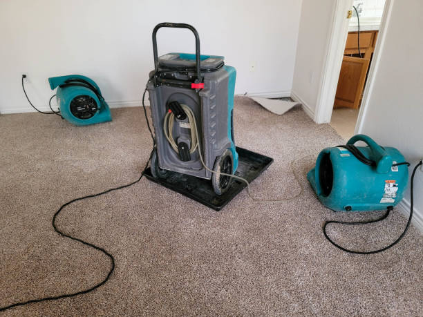 Best Ceiling water damage repair  in Walker Mill, MD
