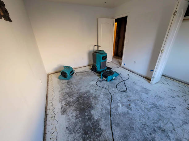 Best Local water damage restoration  in Walker Mill, MD