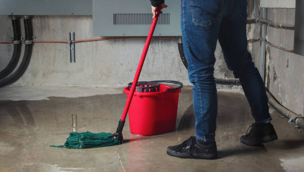  Walker Mill, MD Water damage restoration Pros