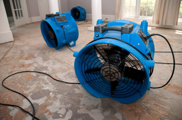 Best Water damage mitigation services  in Walker Mill, MD