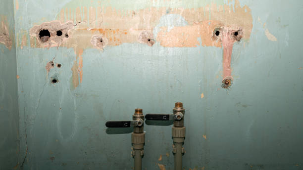 Best Fire Damage Restoration  in Walker Mill, MD