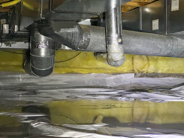 Reliable Walker Mill, MD Water damage restoration Solutions