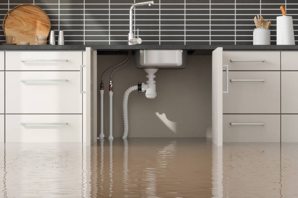 Best Flood restoration services  in Walker Mill, MD