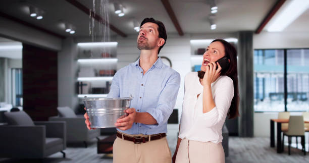 Best Water damage contractors near me  in Walker Mill, MD