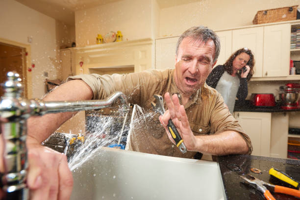 Best Professional water damage repair  in Walker Mill, MD